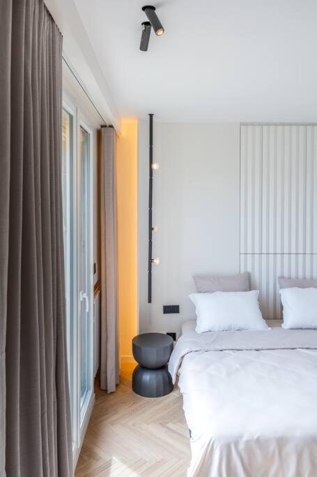 Haussman Palace Apartment Paris